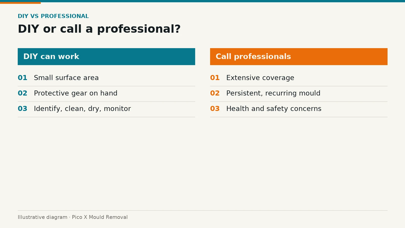 Illustrated diagram of dIY or call a professional?, drawn from the article to help Singapore homes prevent mould.