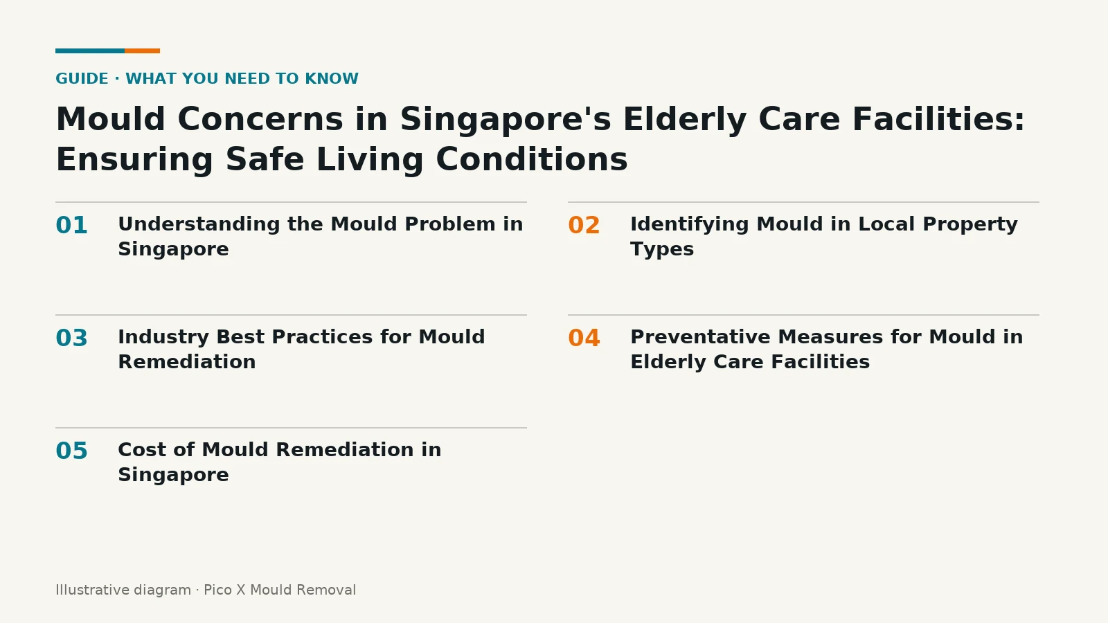 Illustrated diagram of Mould Concerns in Singapore's Elderly Care key points, helping Singapore homes prevent mould.