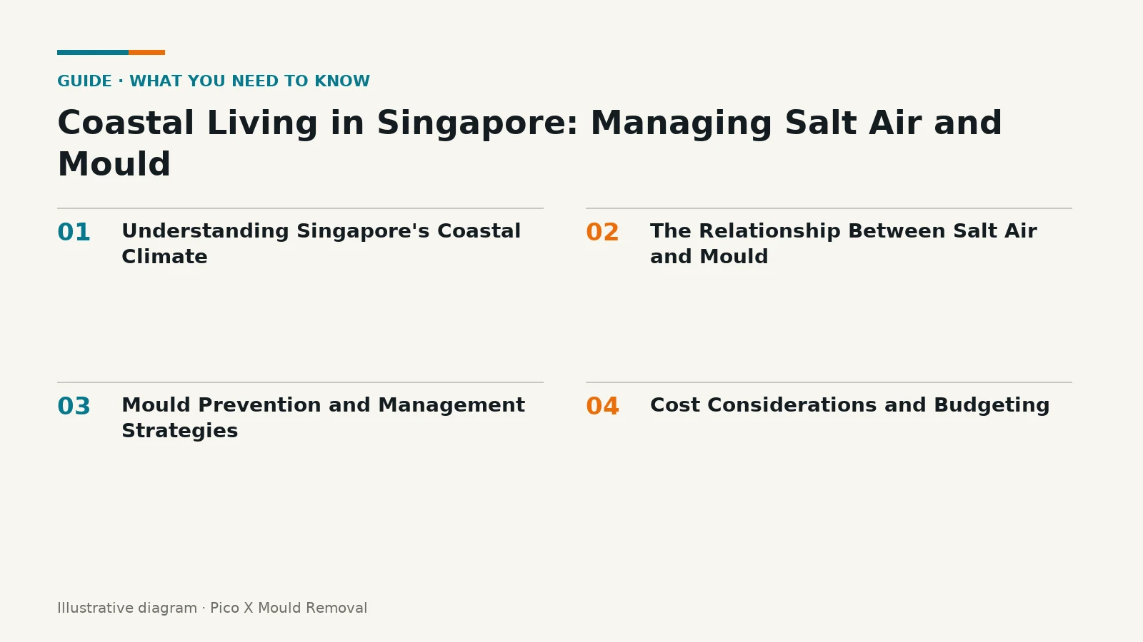 Illustrated diagram of Coastal Living in Singapore key points, helping Singapore homes prevent mould.
