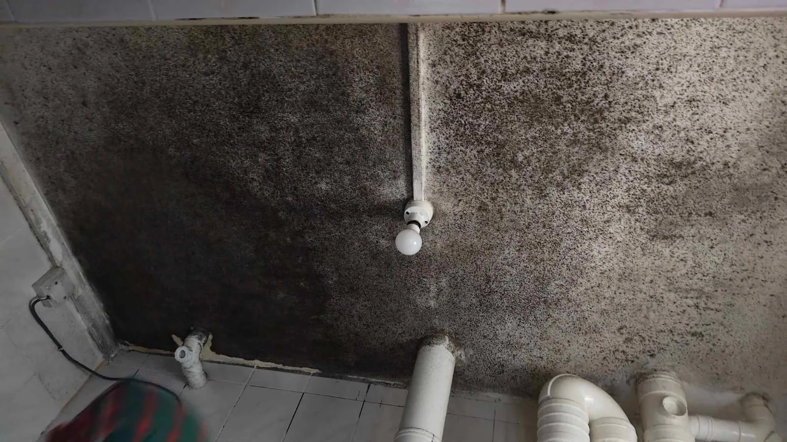 Heavy black mould spreading across a bathroom ceiling and pipes in a Singapore home before treatment