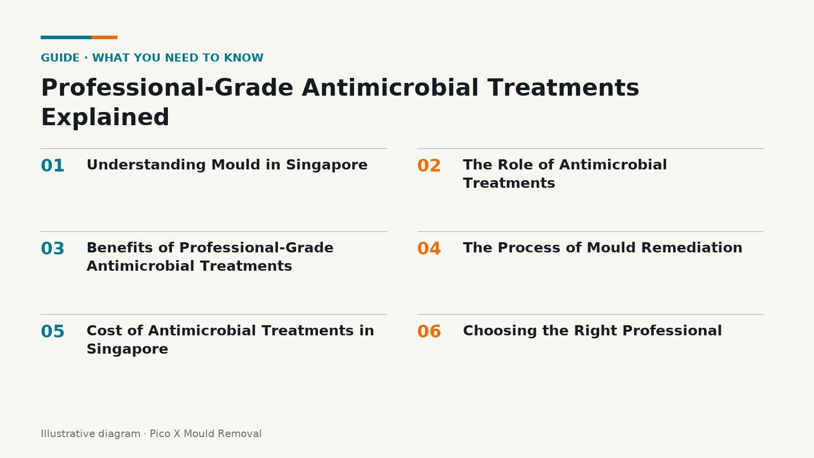 Illustrated diagram of Professional-Grade Antimicrobial Treatments key points, helping Singapore homes prevent mould.