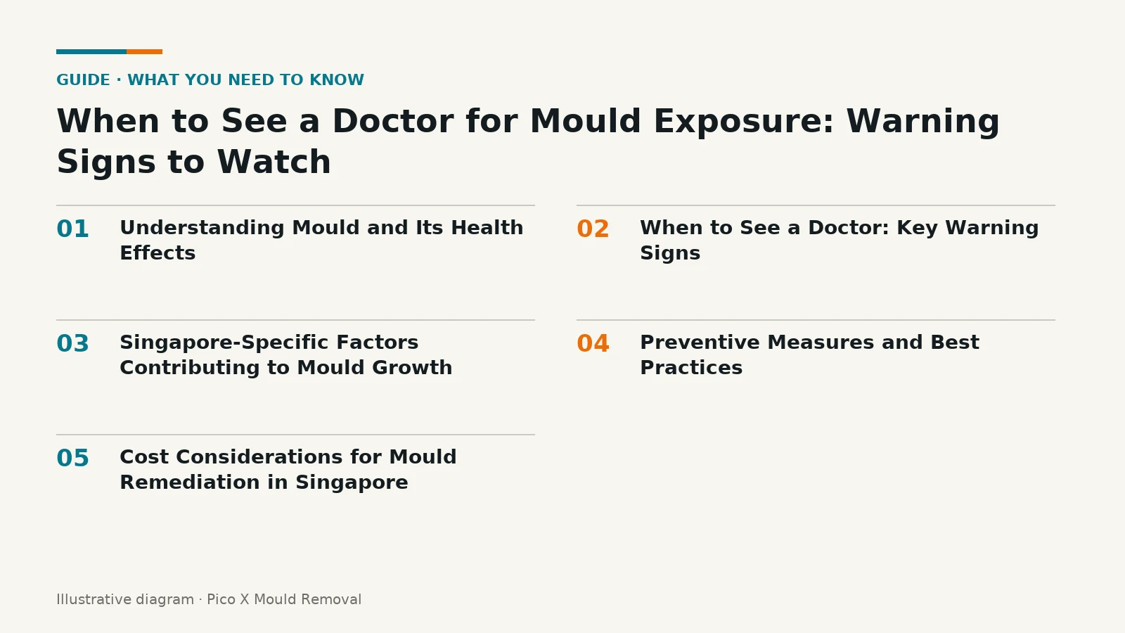 Illustrated diagram of When to See a Doctor for Mould Exposure key points, helping Singapore homes prevent mould.