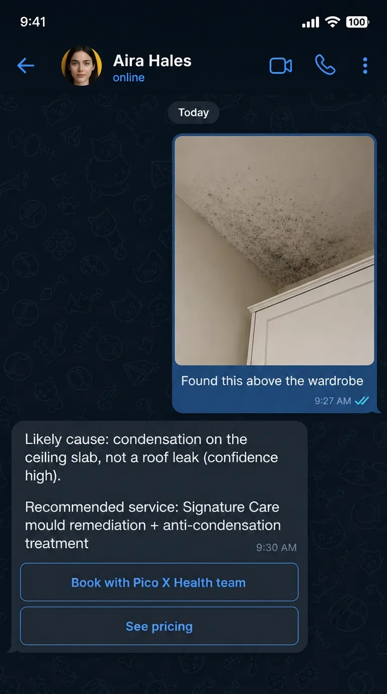 Aira Hales reading a photo of a mouldy ceiling corner on Telegram, identifying condensation as the cause and recommending Signature Care remediation with anti-condensation treatment