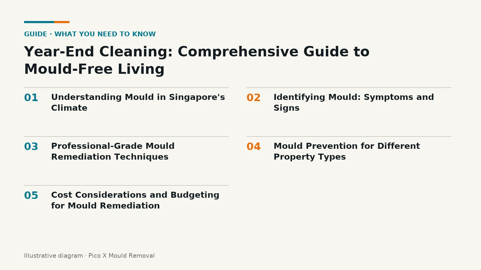 Illustrated diagram of Year-End Cleaning key points, helping Singapore homes prevent mould.