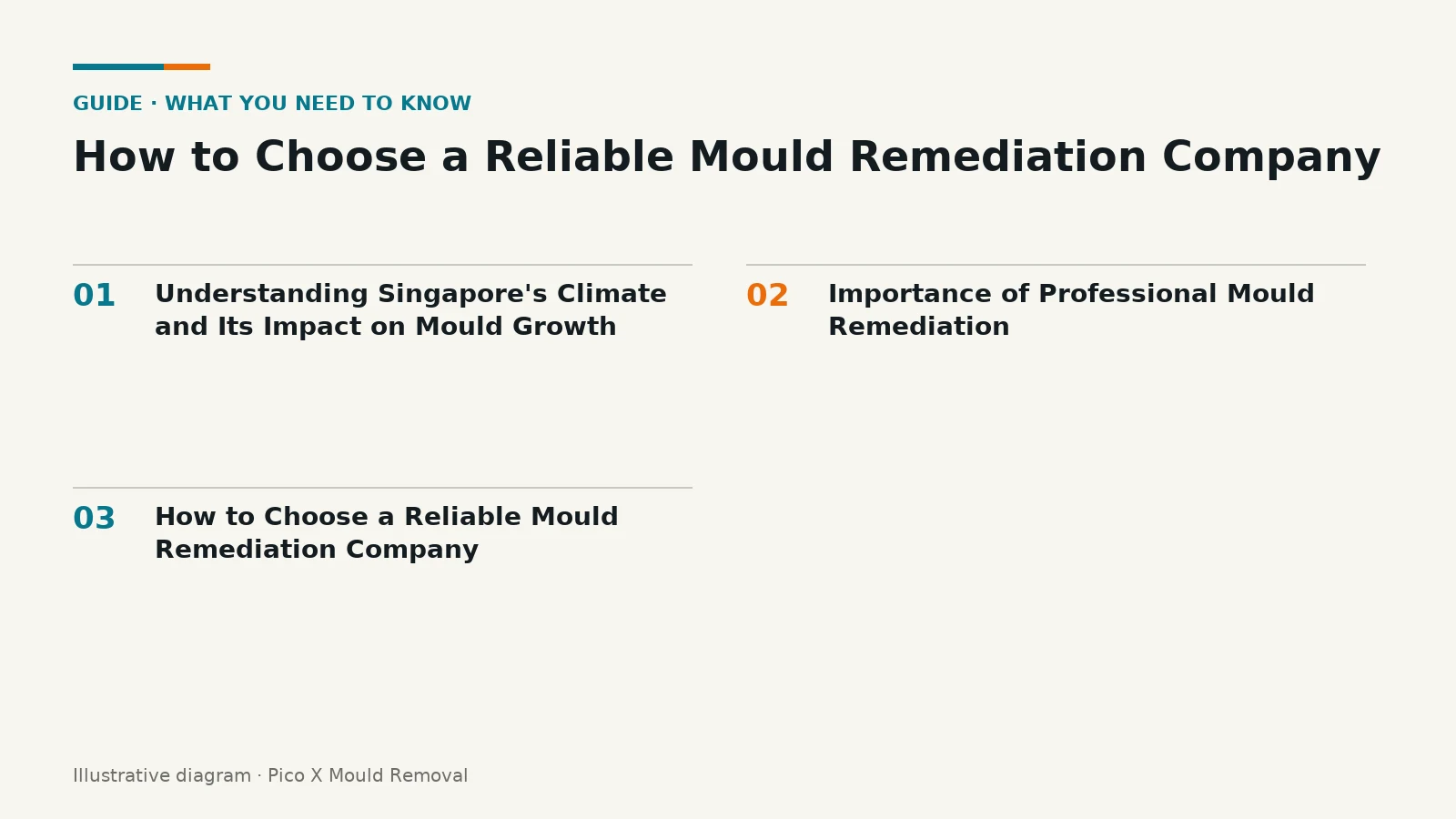 Illustrated diagram of How to Choose a Reliable Mould Remediation key points, helping Singapore homes prevent mould.