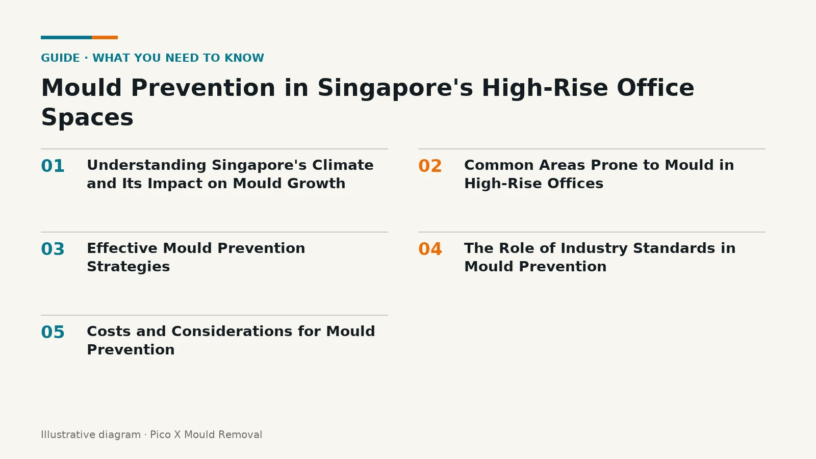 Illustrated diagram of Mould Prevention in Singapore's High-Rise Office key points, helping Singapore homes prevent mould.