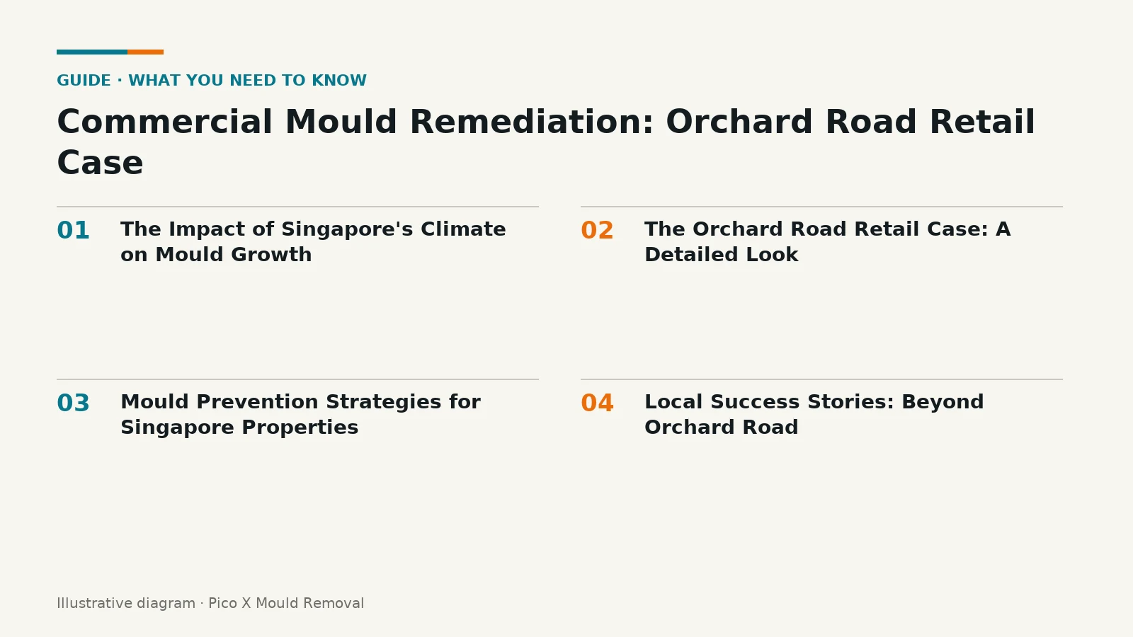 Illustrated diagram of Commercial Mould Remediation key points, helping Singapore homes prevent mould.