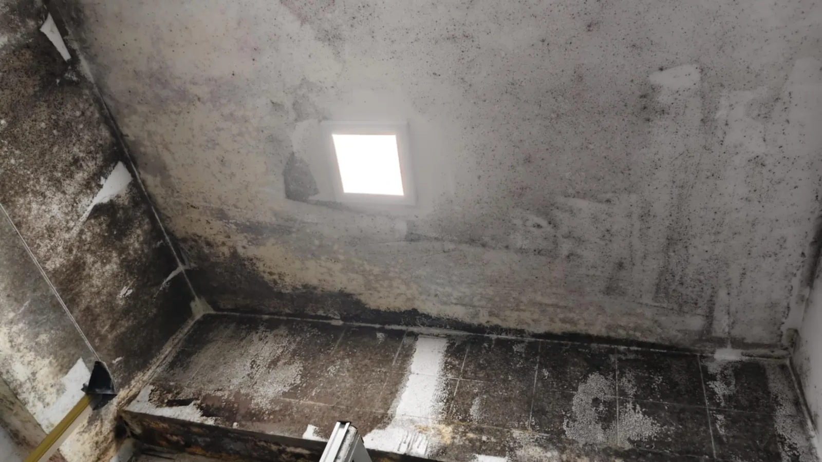 Severe black mould covering a Singapore bathroom ceiling around a light fitting, needing professional removal