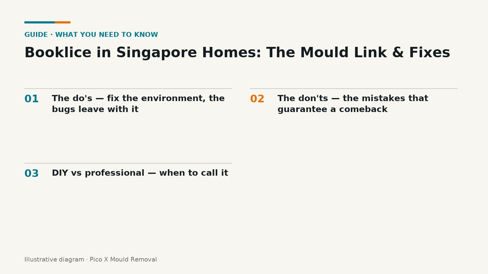 Illustrated diagram of Booklice in Singapore Homes key points, helping Singapore homes prevent mould.