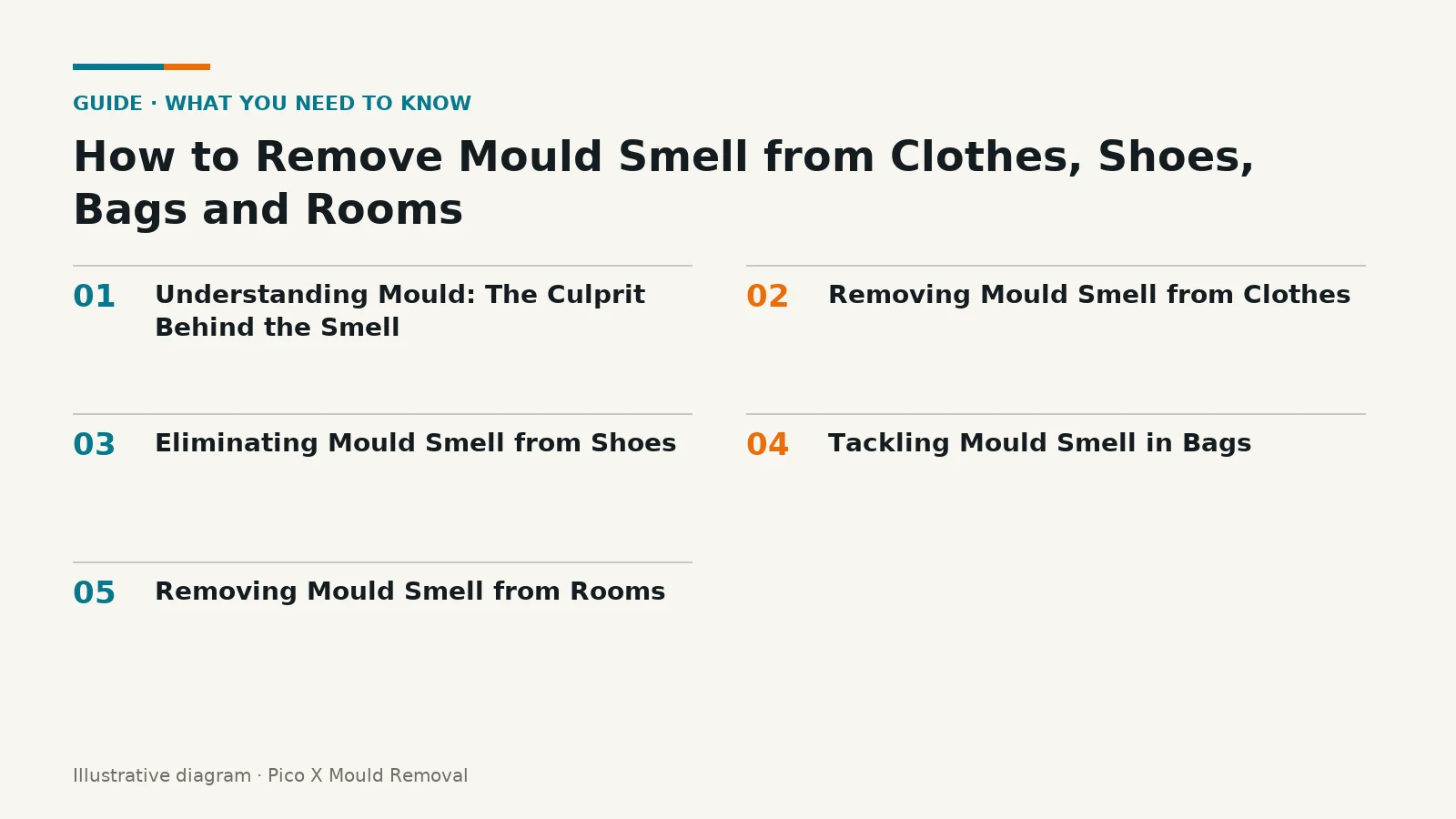 Illustrated diagram of How to Remove Mould Smell from Clothes, Shoes, key points, helping Singapore homes prevent mould.