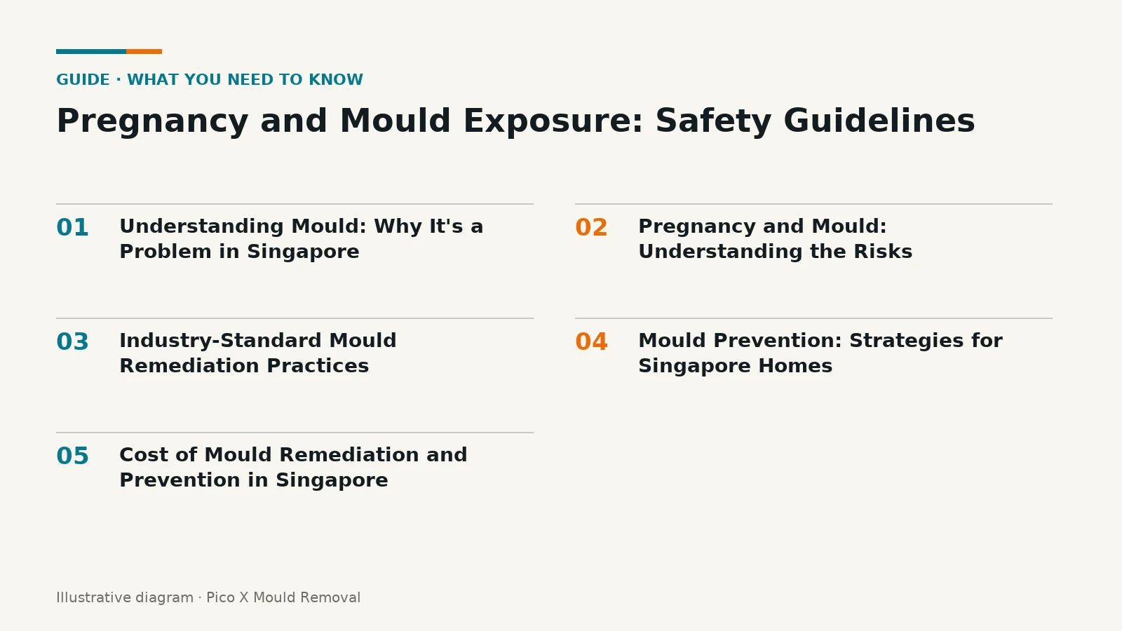 Illustrated diagram of Pregnancy and Mould Exposure key points, helping Singapore homes prevent mould.
