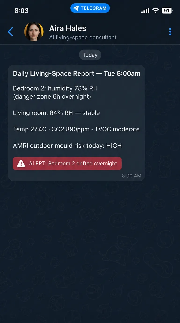 Aira Hales daily Telegram report flagging a bedroom at 78% RH overnight against high AMRI outdoor mould risk so the owner can act before mould starts