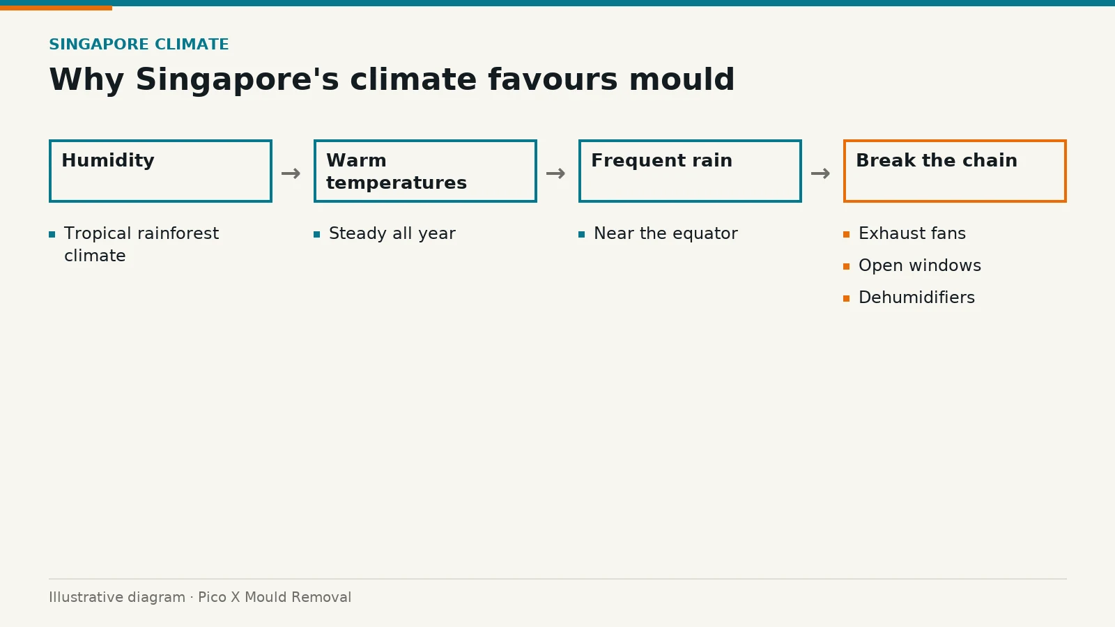 Illustrated diagram of why Singapore's climate favours mould, drawn from the article to help Singapore homes prevent mould.