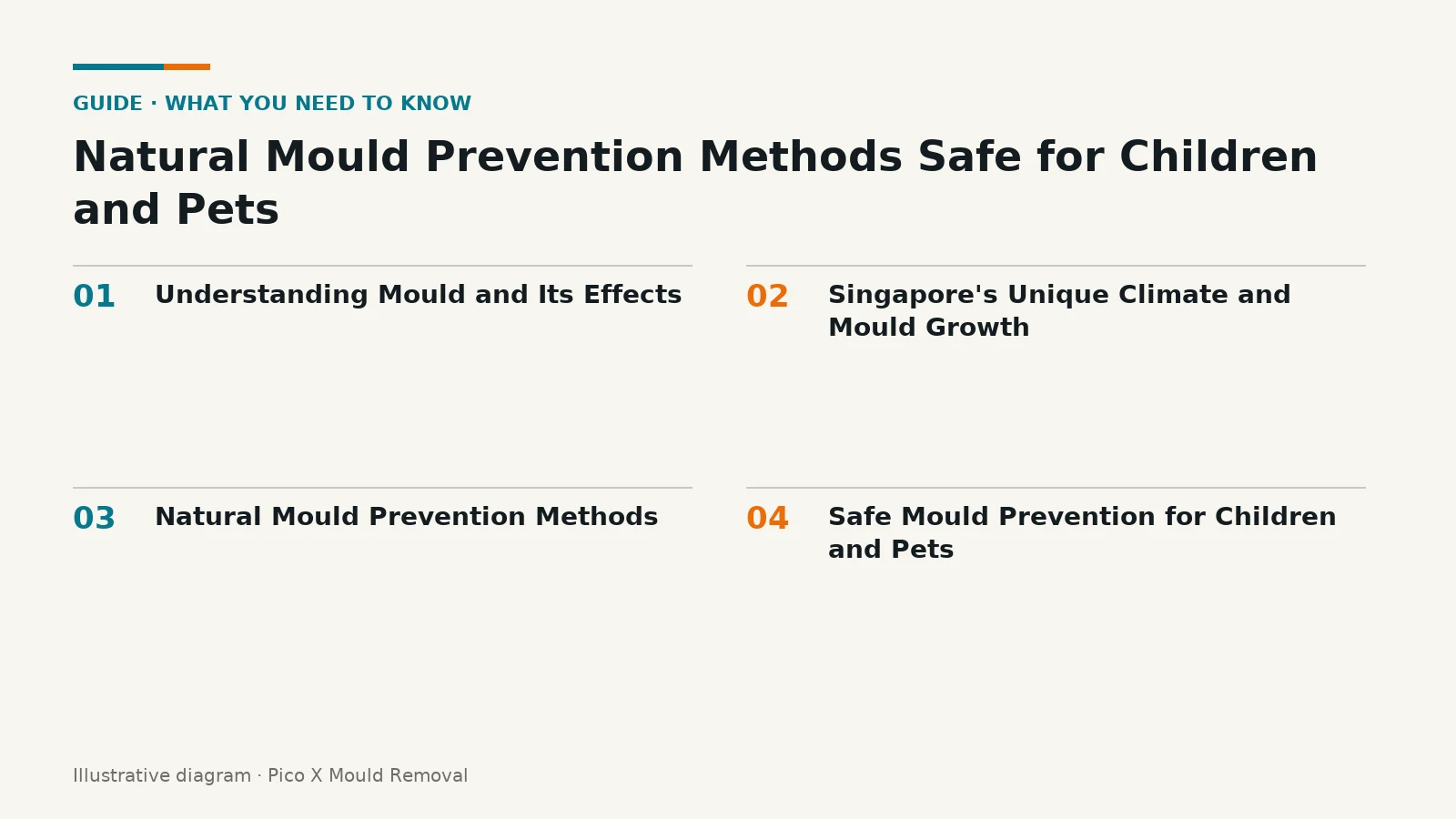 Illustrated diagram of Natural Mould Prevention Methods Safe for key points, helping Singapore homes prevent mould.