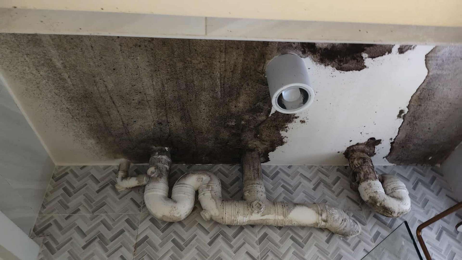 Pico X Health documents severe bathroom ceiling mould around pipes before professional remediation - Singapore HDB