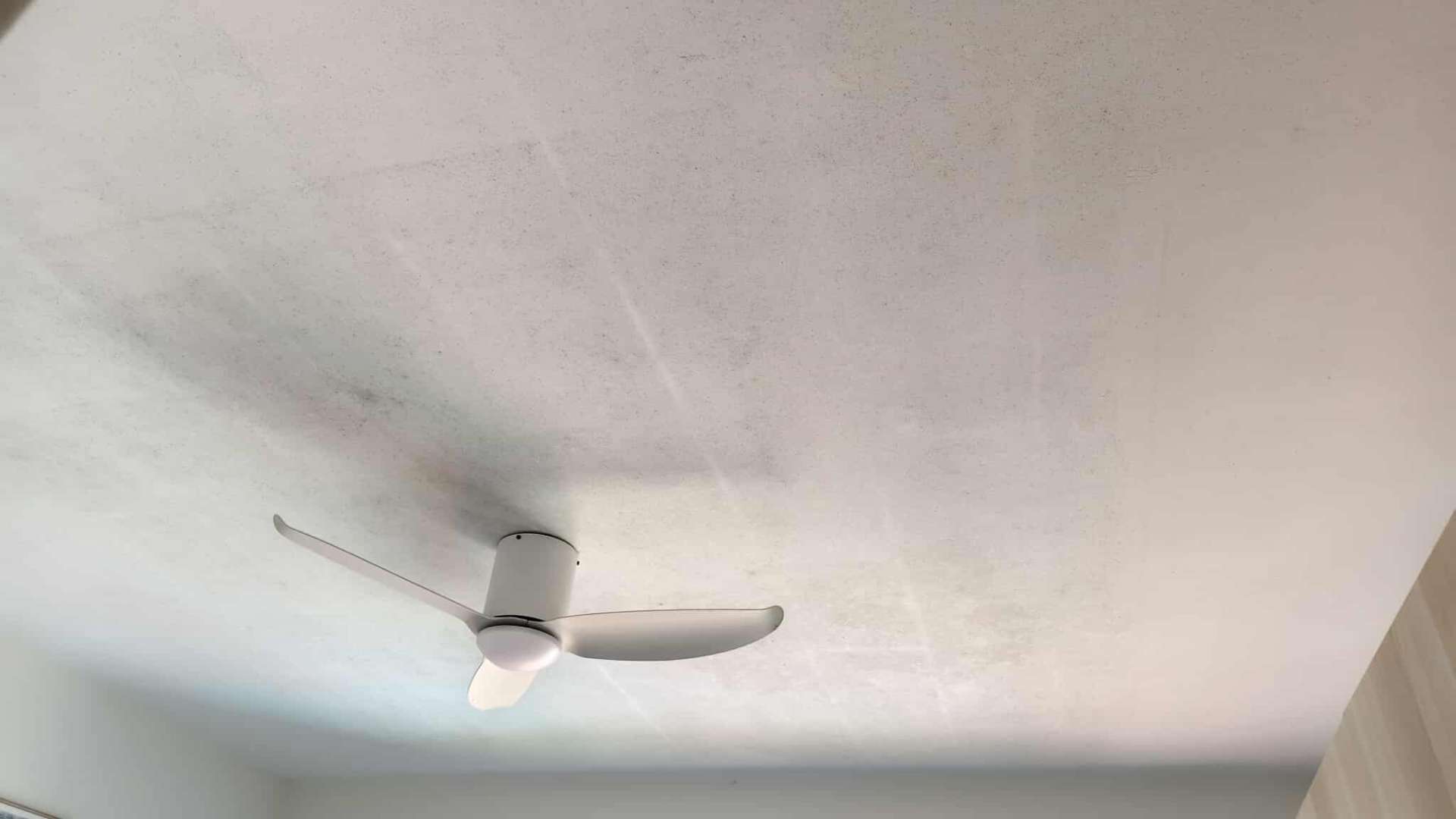 Pico X Health documents ceiling mould damage around fan area before emergency remediation - Singapore HDB