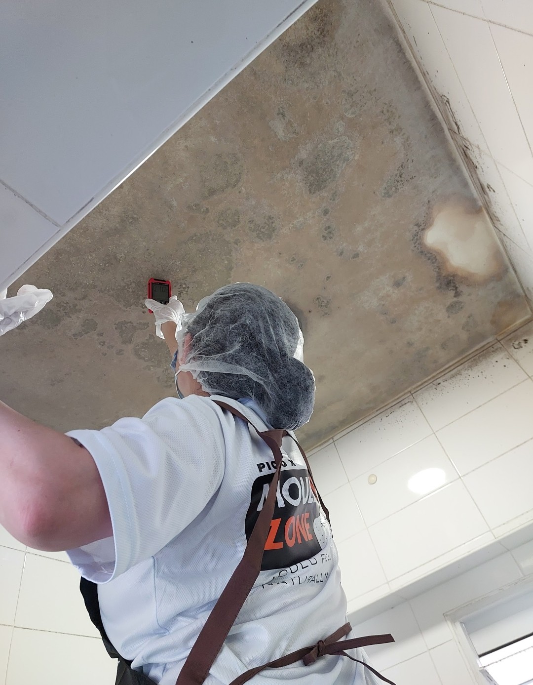 Pico X Health technician uses moisture meter to assess severe ceiling mould damage during professional inspection - Singapore