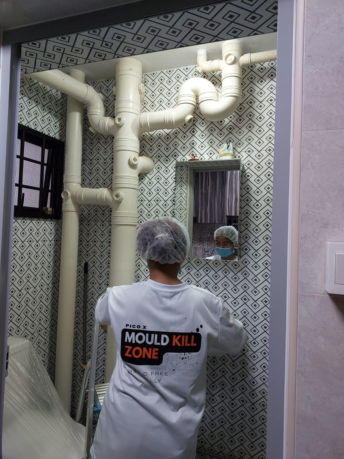 Professional Mould Remediation — Pico X Health